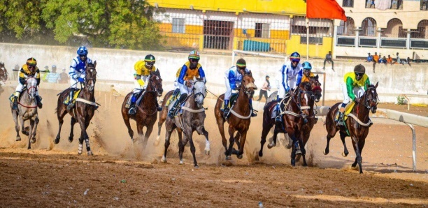 Courses hippiques – Grand Prix Macktoum : El Capo domine ses concurrents