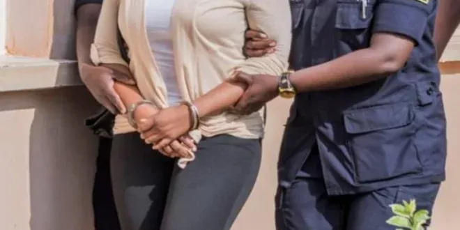 Saly : 4 Milliards En Billets Noirs Saisis Sur Une Mule