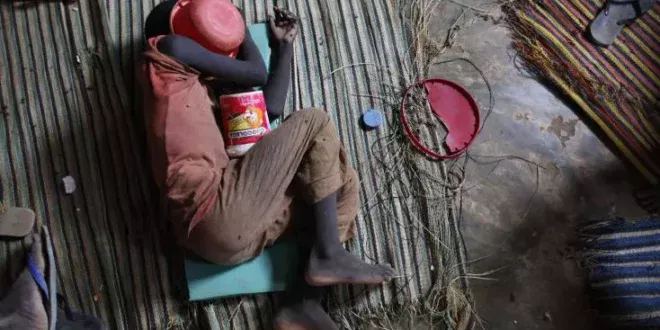 Thiénaba : Cette Plante « Mbante Maré » A Tué Quatre Talibés
