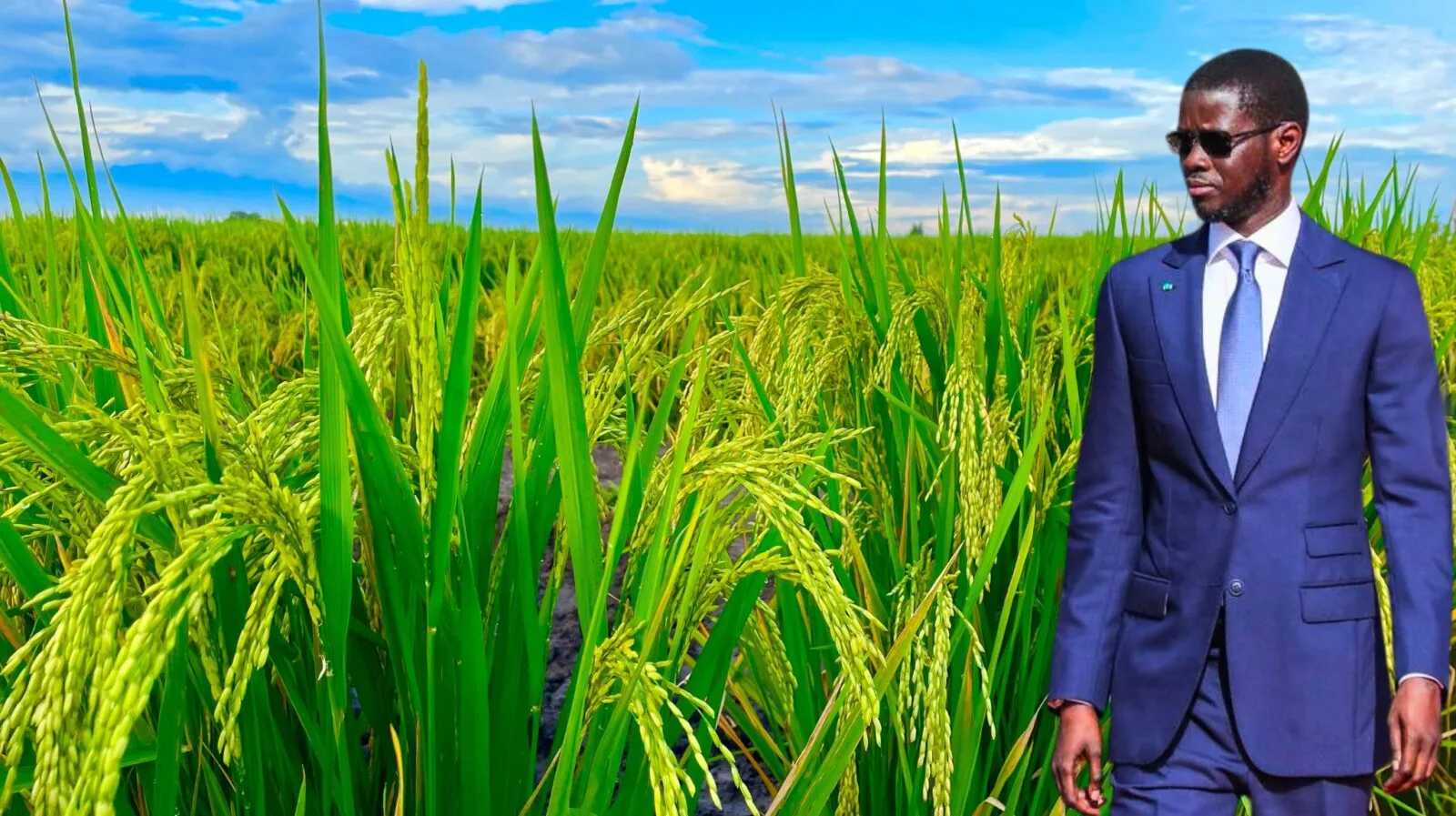 AGRICULTURE ET ÉCONOMIE BLEUE : L’ÉTAT ACCÉLÈRE LA CADENCE POUR UNE TRANSFORMATION DURABLE