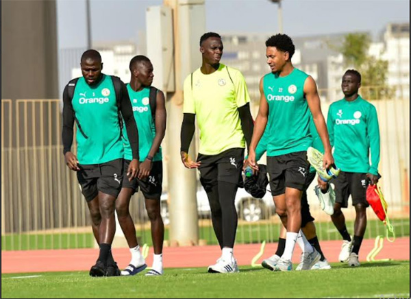 Avec des Lions présents à Dakar : La délégation sénégalaise quitte dimanche pour Dublin – Lequotidien
