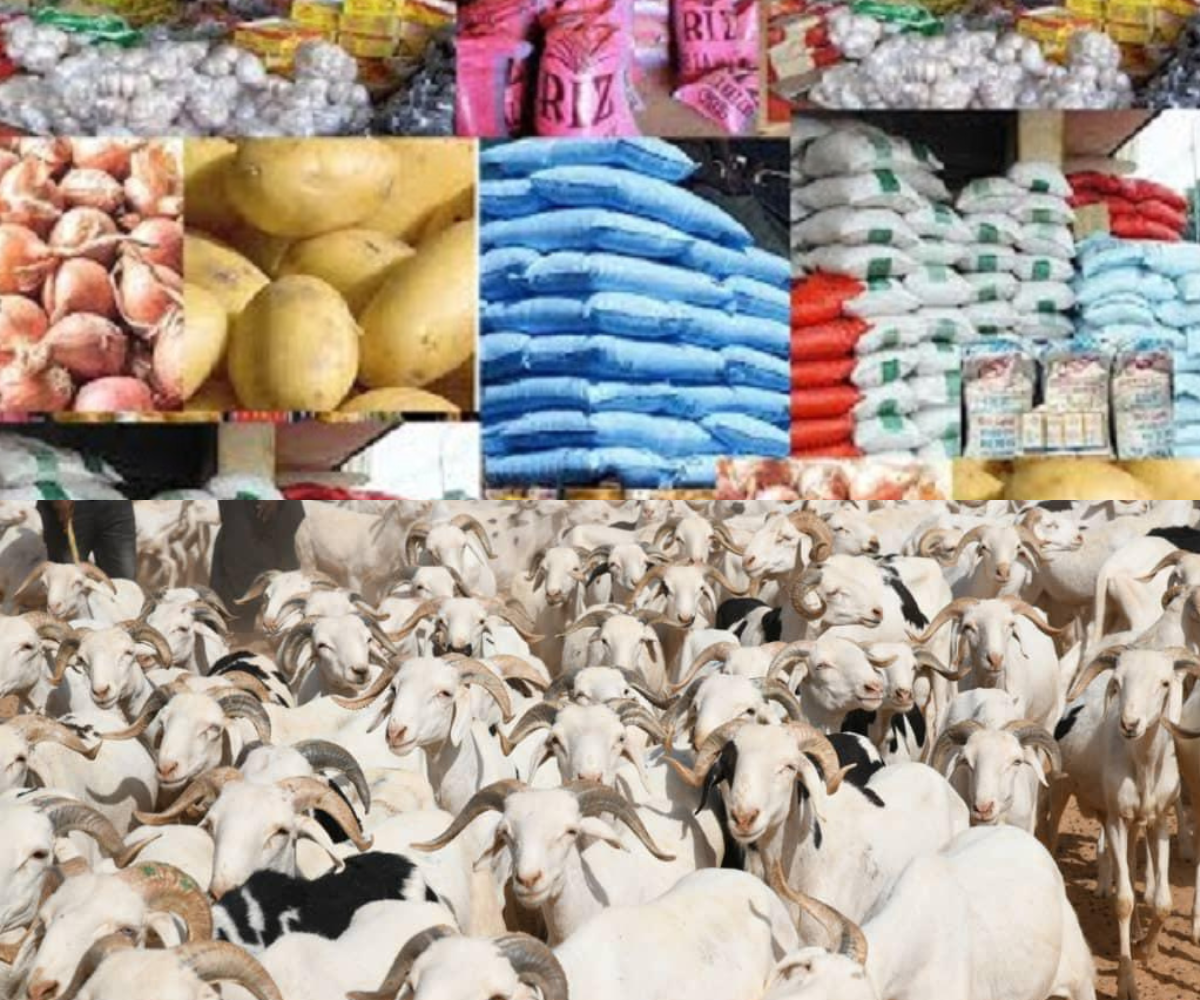 Tabaski 2025 : une offre abondante en moutons et produits de première nécessité