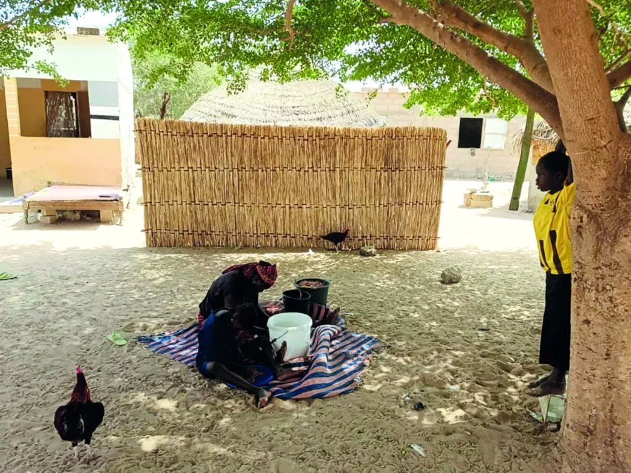 Le « mbaañ gaacce  » : Histoire et symbolisme d’une palissade traditionnelle